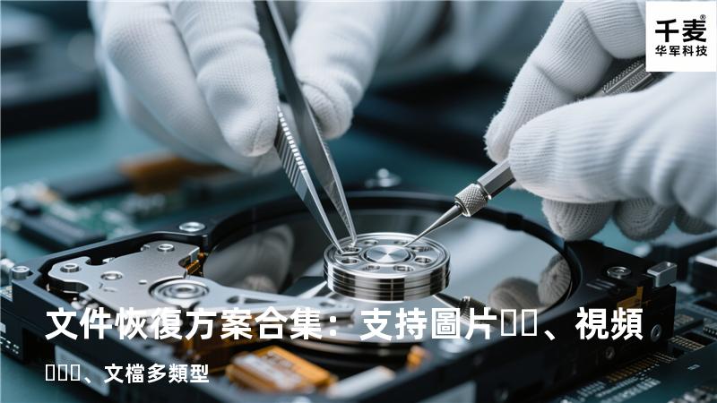 文件恢復方案合集：支持圖片、視頻、文檔多類型 